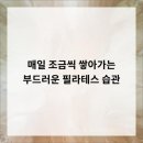 워너비필라테스스튜디오 | 삼성동 필라테스 프리미엄 스튜디오, 위 필라테스 삼성본점 방문 후기