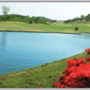 마우나오션 블루 이미지