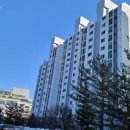 강산입찰