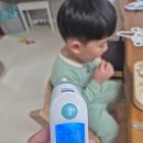 (주)다온아트 | 4살, 5살 연년생 남매 일상 (4살 생일선물, 생일파티, 가을 즐기기)