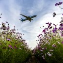 영종도 인천공항 하늘정원 이미지