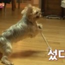 제주도 푸른밤 이미지