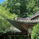 숲속한옥 이미지