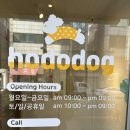 애견미용카페 보름별 | [인천 연수동] 실내 인천 애견카페 &#39; 호도독 &#39; 방문 후기 | 호텔, 유치원, 미용까지 가능