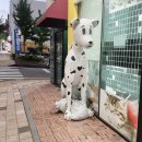 영은주유소 이미지