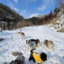 마치집인냥 이미지