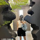 다보아