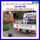 나무 206 | 세종 방수 아름동 아파트 배수 역류 방지 고압세척 지하 피트 세관 &amp; 맨홀 나무뿌리 제거 후기