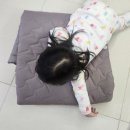 국제의료기 | 한일의료기 임산부 아기 카본매트 탄소매트 내돈내산 구입기