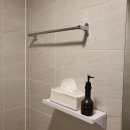 가스프(GASP) 이미지