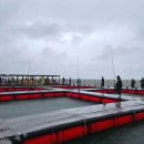 왜목마을좌대낚시터 이미지