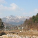 위곡 Daum카페