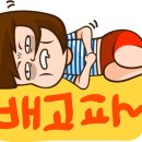 GH자연건강 네이버블로그