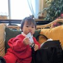 태리약국 이미지