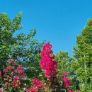 용비쉼터 이미지