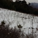 종근농장 Daum카페