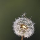 호텔인터불고원주골프연습장 이미지