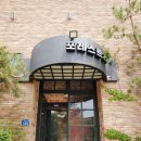 마티애견 이미지