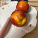 사랑이라는 이름이 맞겠지