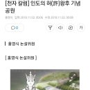 인도의 허왕후 기념공원 이미지