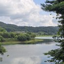 남대전푸른문고 | 대전 대청호 가볼 만한 곳, 명상정원 오백리길 산책·사진 출사 후기 (주차장 정보 )