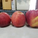 백전농장 이미지