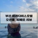맥스피드 | 부산 파라다이스호텔 오션풀, 씨메르 비교 후기 (이용시간, 가격, 사진찍는 팁 총정리)