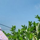 해오름2농장 이미지