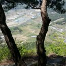 캠프원 관광농원 이미지