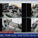 조지아팜 이미지