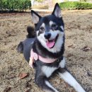 (주)이누 이미지