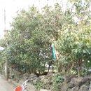 신산리-6 이미지