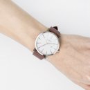 롤로(Rollo) 이미지