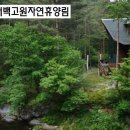 태백농장 이미지