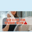 바디짐 이미지