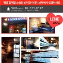 아이러브독 서초점 네이버블로그