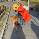 설산약국 이미지