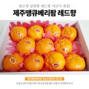 땡큐베리팜 이미지