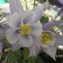 경북지업사 이미지