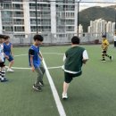 백호축구클럽&풋살파크