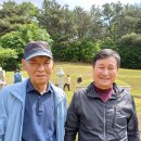 인성군묘 이미지