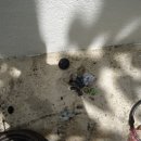 봉곡동011 이미지