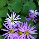 한양도성(남산구간) 이미지