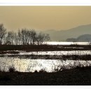 이른봄의 서정 이미지