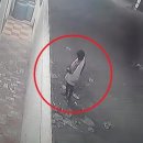 아들상점 세계일보