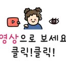 레미네일속눈썹