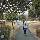 서홍동 재활용 도움센터 이미지