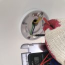 아름드리약국 이미지