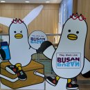 부산트래블라운지 | 부산향수공방 롬센트ㅣ부산 트래블라운지 핸드크림 조향 클래스 단체수업 후기