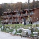 유명산자연휴양림 이미지